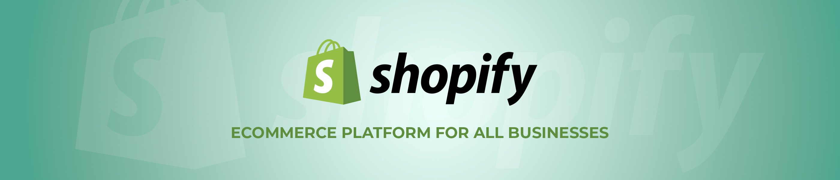 SHOPIFY 电子商务工具 ✔️ W-4 代理商