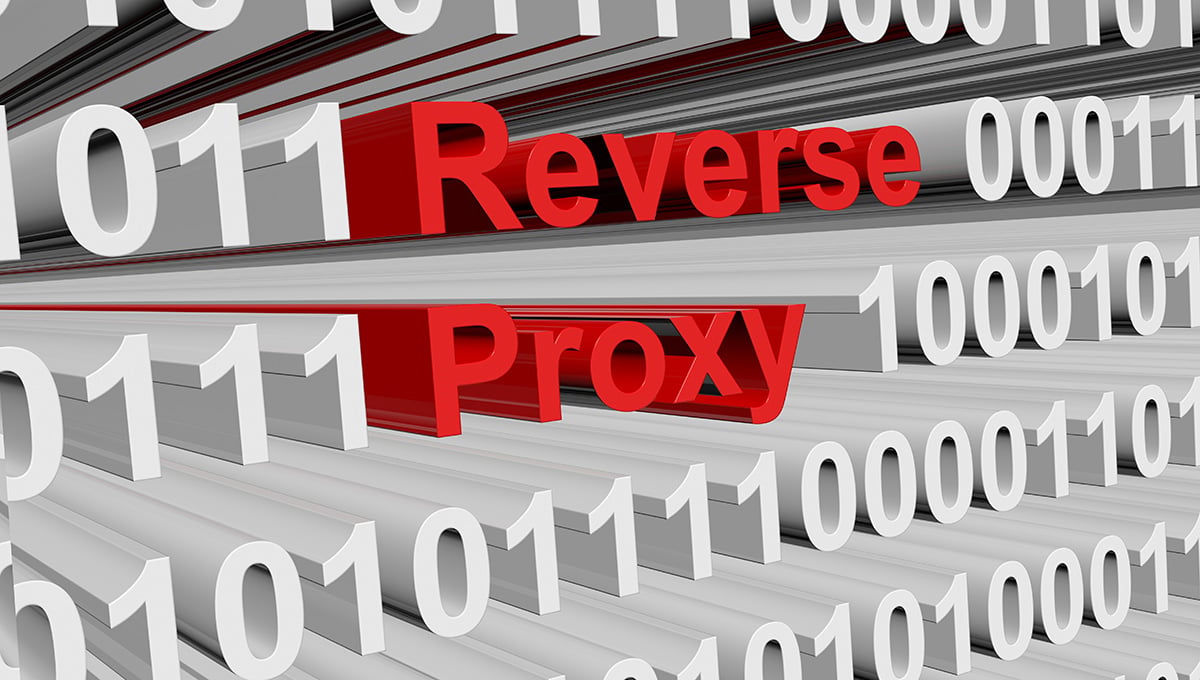 Reverse_proxy_image_01_1200px