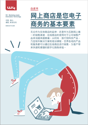 eshop flyer china 2